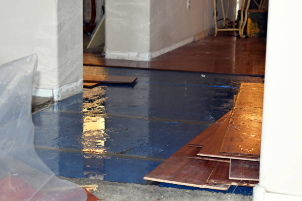 Professional Basement Flood Cleanup technician working in Holualoa, HI
